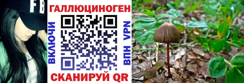 ОМГ ОМГ зеркало  наркотики  Пыть-Ях  Галлюциногенные грибы Magic Shrooms 